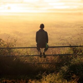 Desarrollo del Talento desde una perspectiva Focalizada en la Emoción: un conocimiento práctico transformador para Especialistas Senior en Coaching, Talento y Cultura, Liderazgo, Bienestar Estratégico y Salud Organizacional